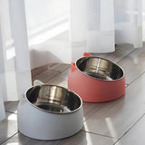 PurrfectAngle Pet Feeding Bowl