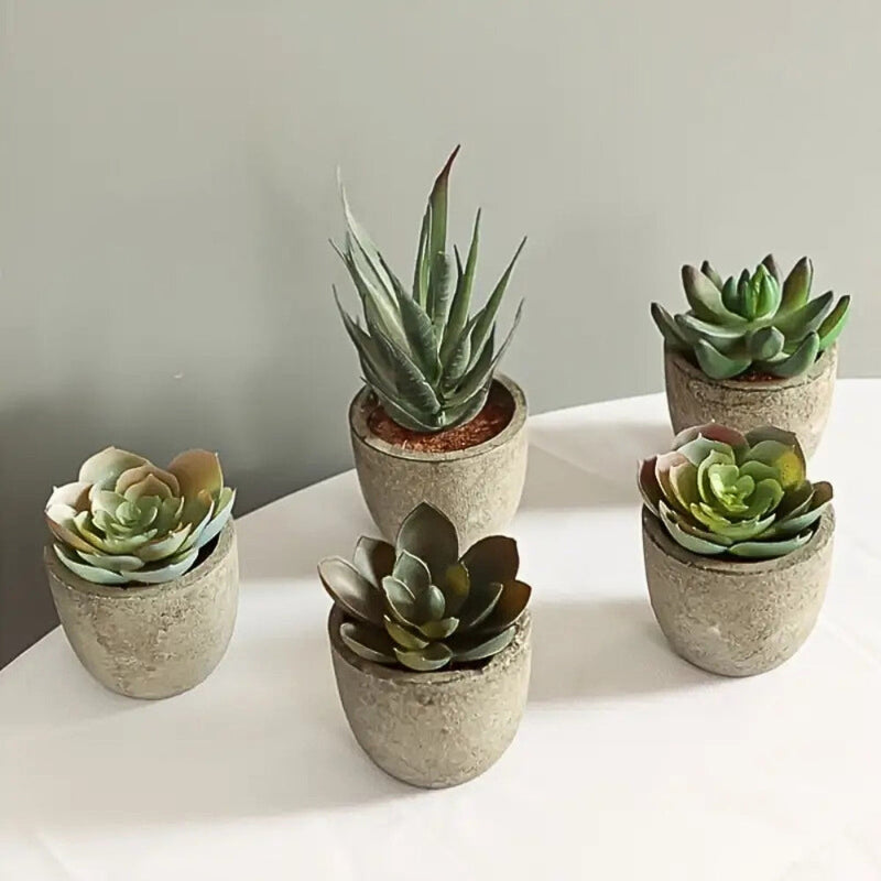 fake succulent decor Casa & Beyond