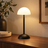 Luna Glow Desk Lamp