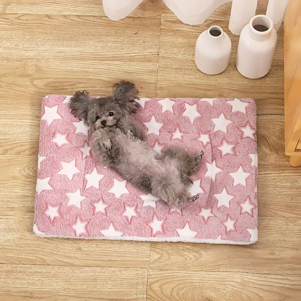 Snuggly Star Ultra-Warm Pet Bed