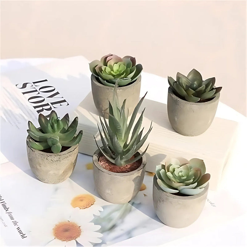 artificial succulent decor Casa & Beyond